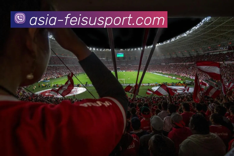 飞速体育服务体系